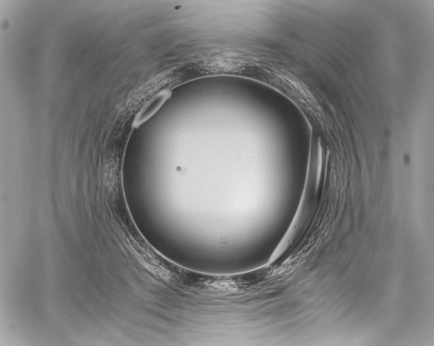 X0000059810409200510211122