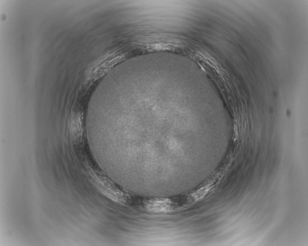 X0000059810410200510211122