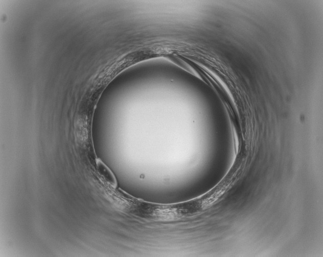 X0000059810413200510211122