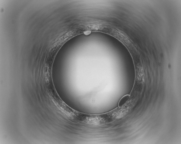 X0000059810414200510211122