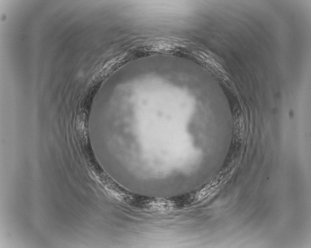 X0000059810415200510211122