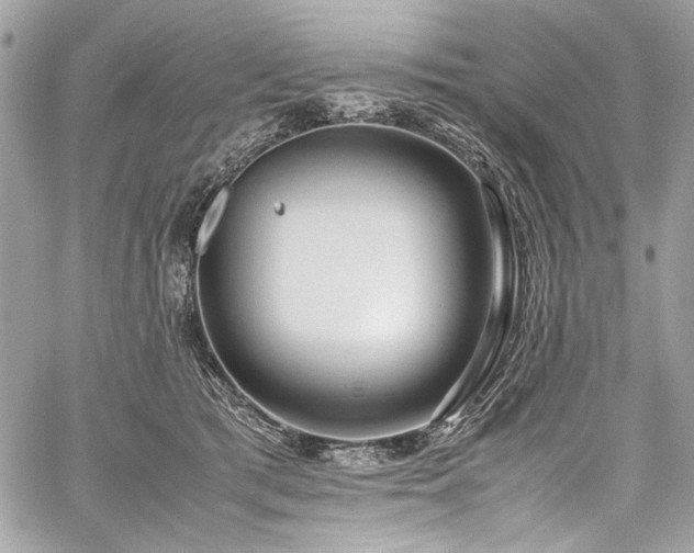 X0000059810417200510211122