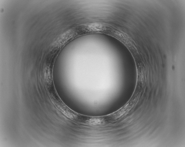 X0000059810418200510211121