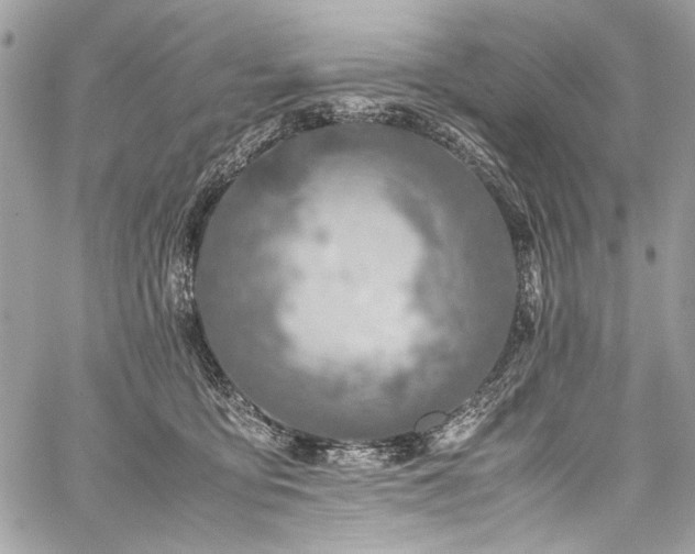 X0000059810419200510211121