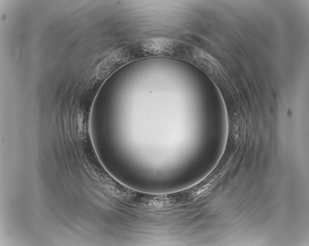 X0000059810420200510211121