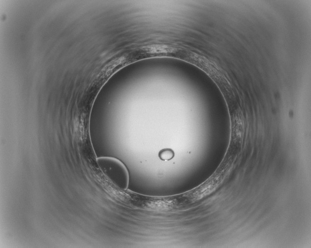 X0000059810422200510211121