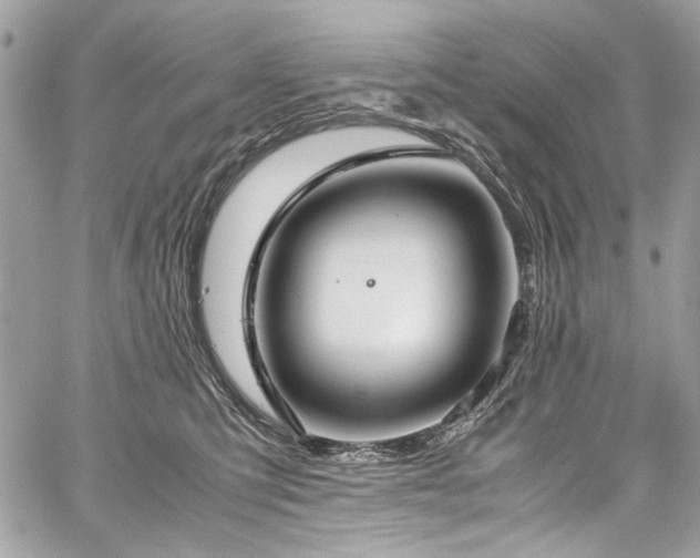 X0000059810423200510211121