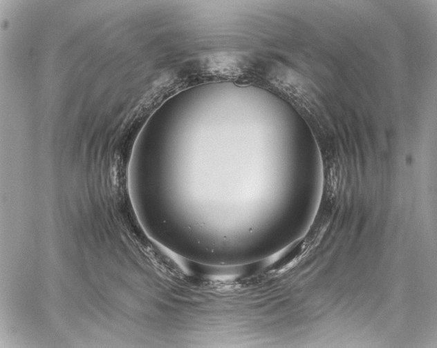 X0000059810424200510211121