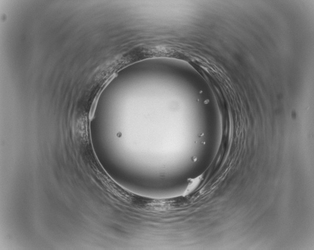 X0000059810425200510211121