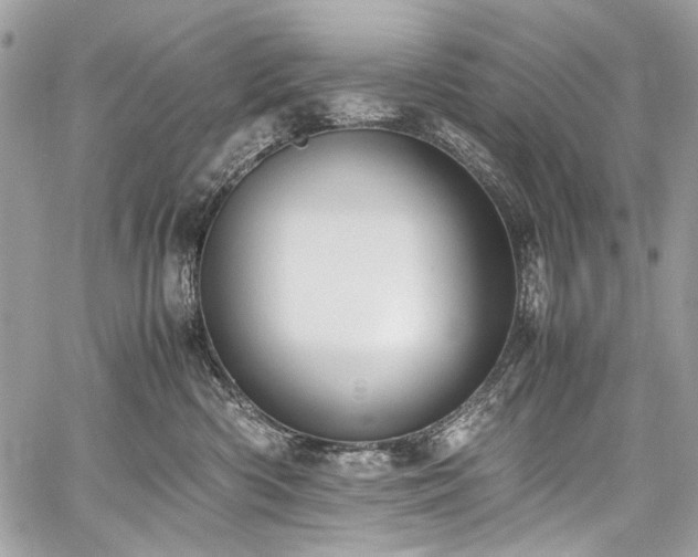 X0000059810426200510211121