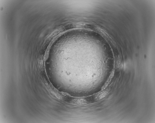 X0000059810427200510211121