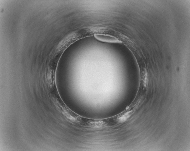 X0000059810428200510211121