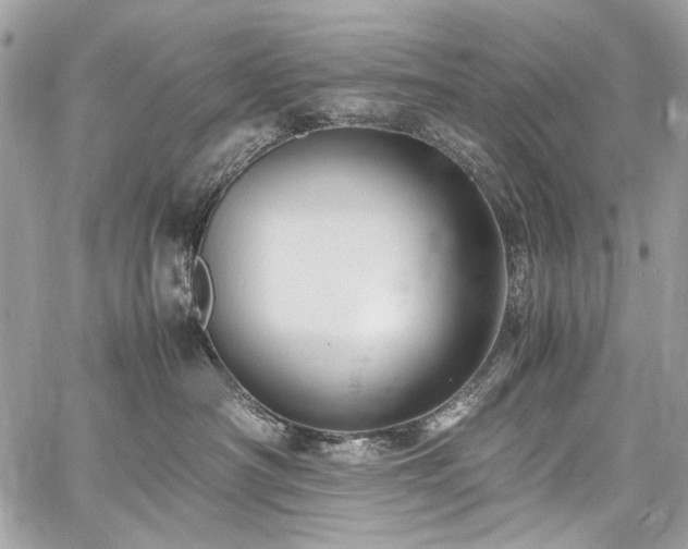 X0000059810430200510211121