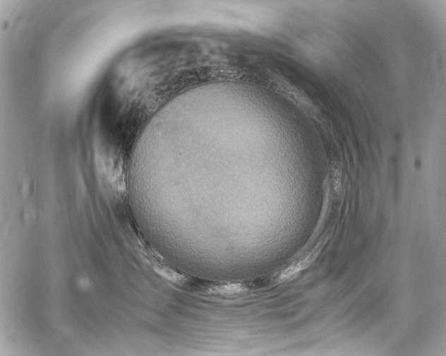 X0000059810431200510211121