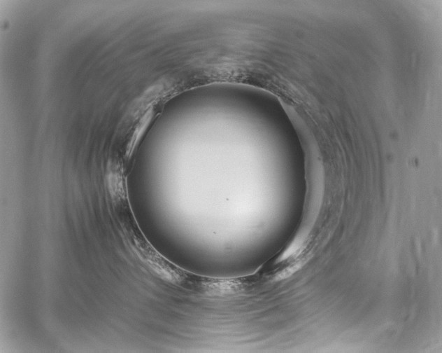 X0000059810432200510211121