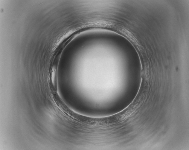 X0000059810434200510211120