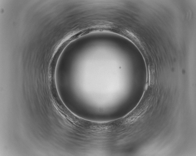 X0000059810435200510211121