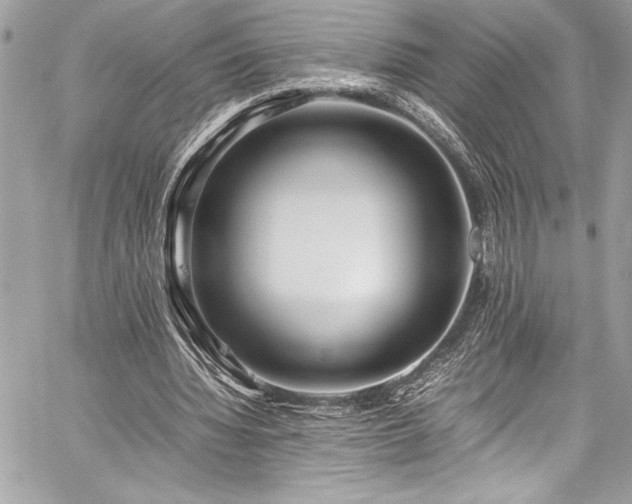 X0000059810436200510211121