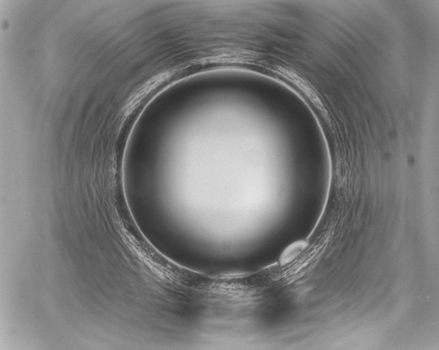 X0000059810437200510211121