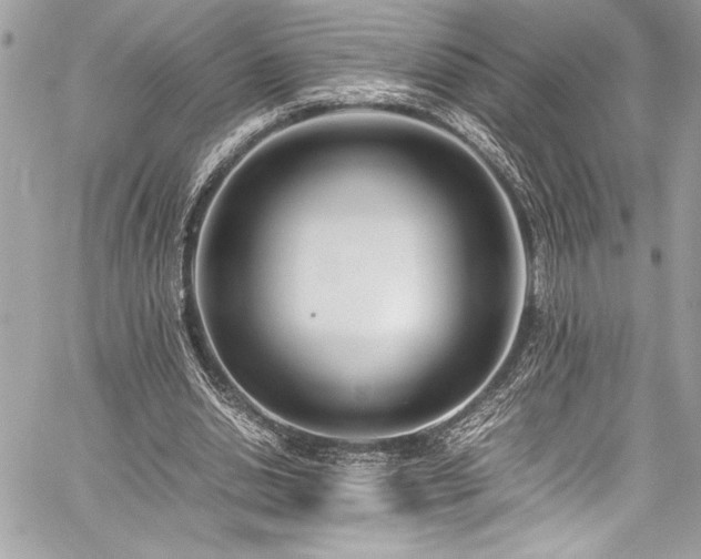 X0000059810438200510211121