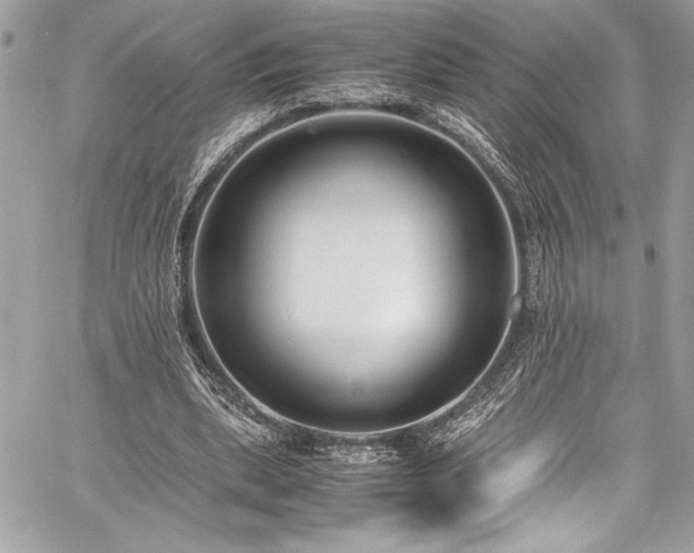 X0000059810439200510211121