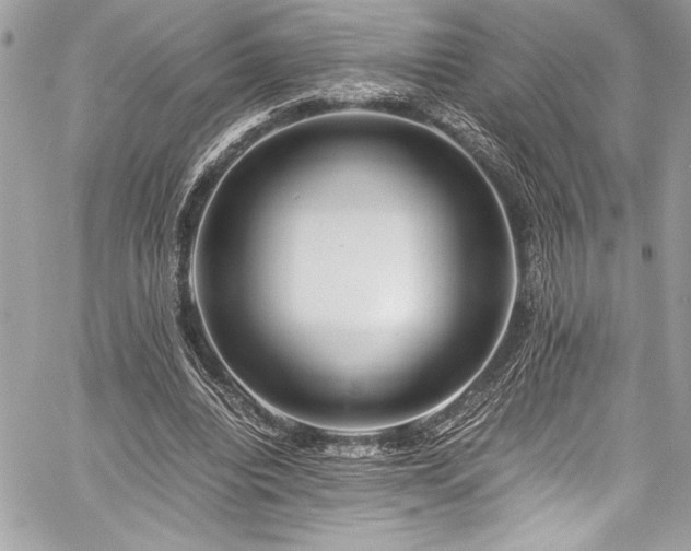 X0000059810440200510211121