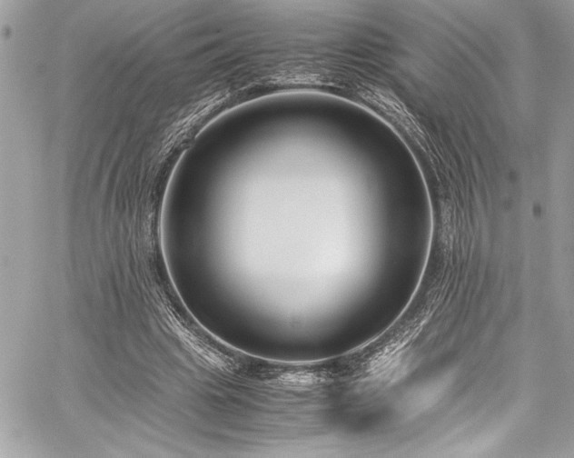 X0000059810441200510211121