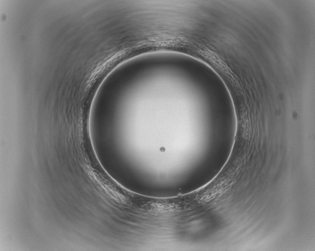 X0000059810442200510211121