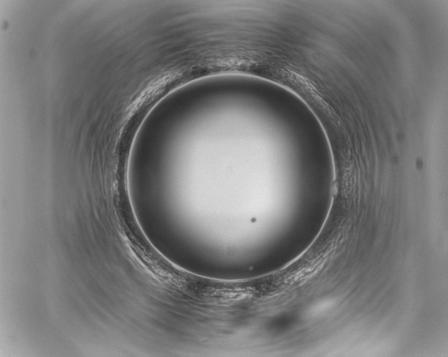 X0000059810443200510211121