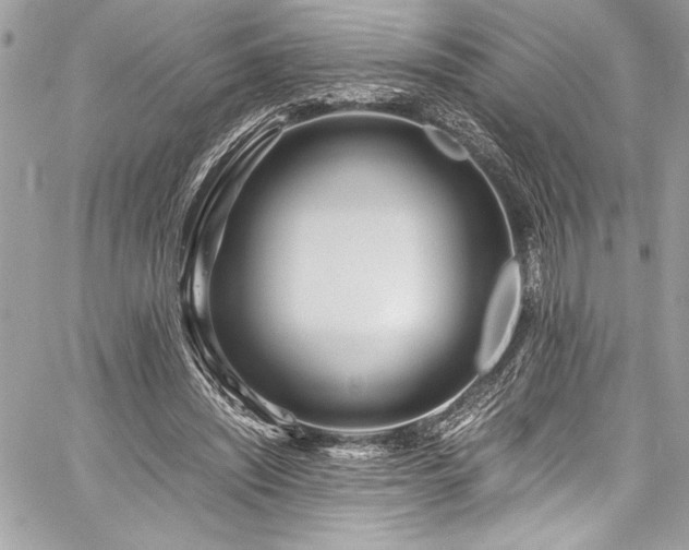 X0000059810444200510211121