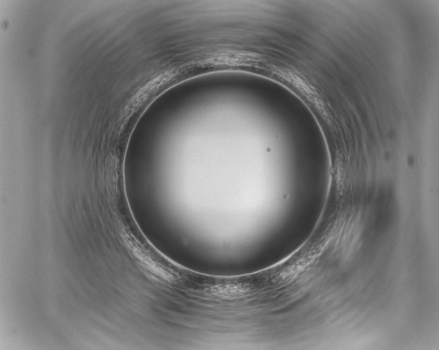 X0000059810445200510211121