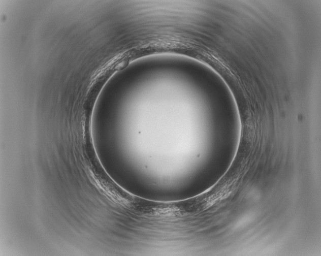 X0000059810446200510211121