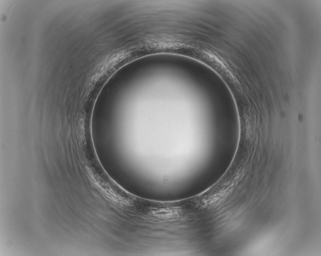 X0000059810447200510211121