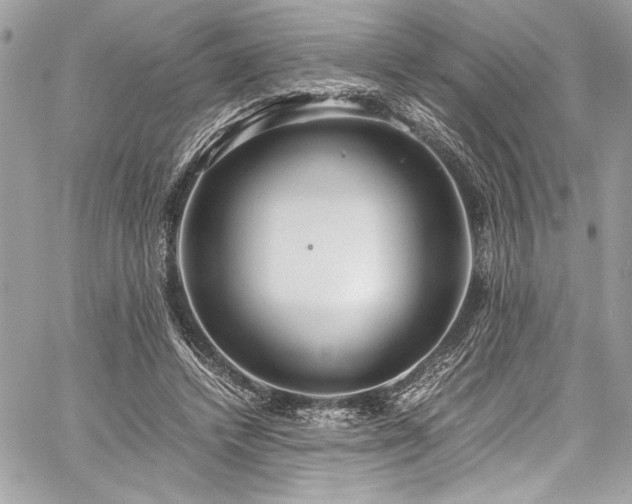 X0000059810448200510211121