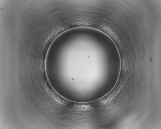 X0000059810449200510211121