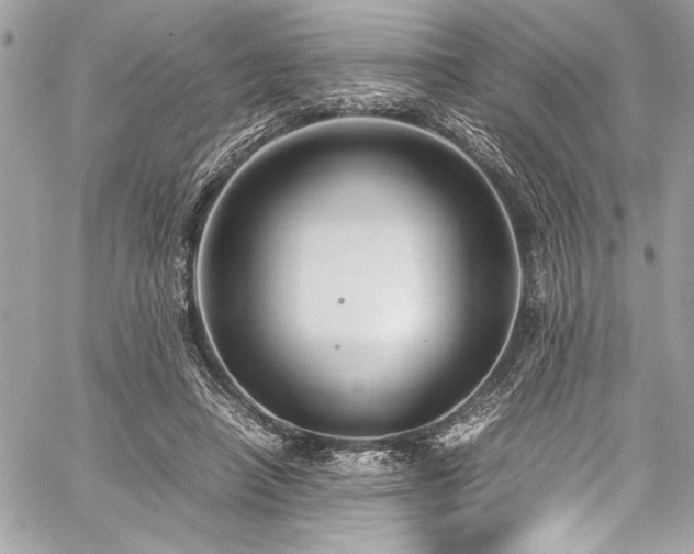 X0000059810450200510211121