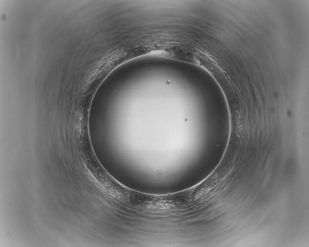 X0000059810451200510211121