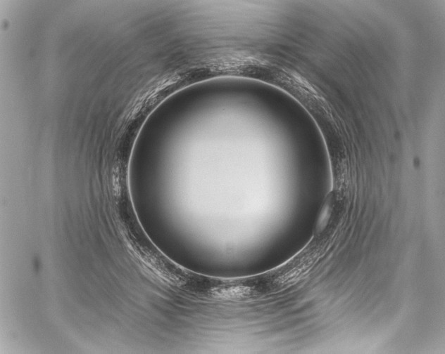 X0000059810452200510211121