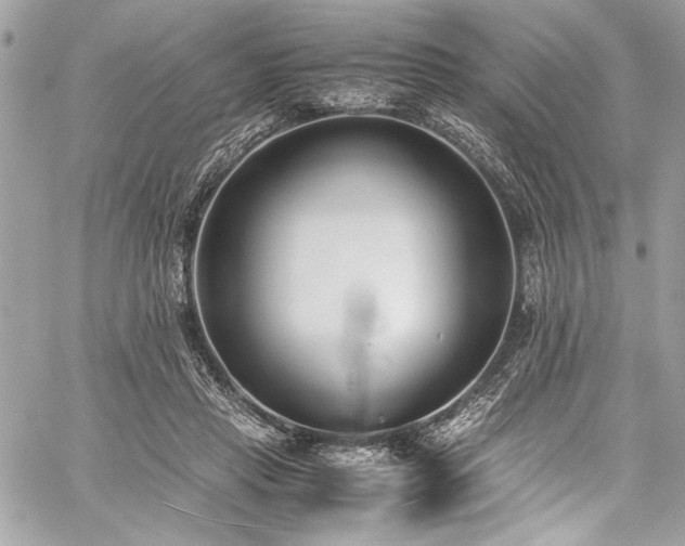 X0000059810453200510211121