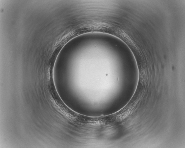 X0000059810454200510211121