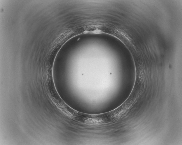 X0000059810455200510211121