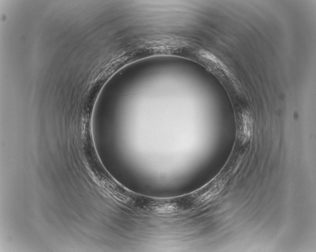 X0000059810456200510211121