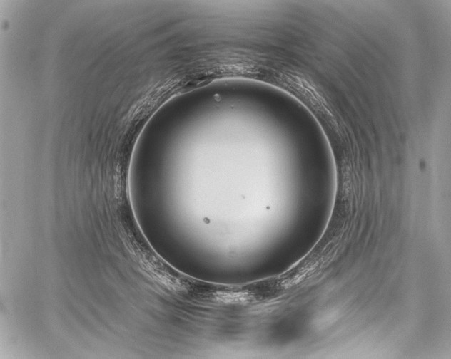 X0000059810457200510211121