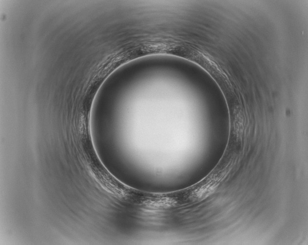 X0000059810459200510211121