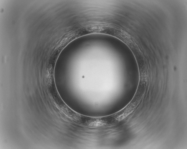 X0000059810460200510211121