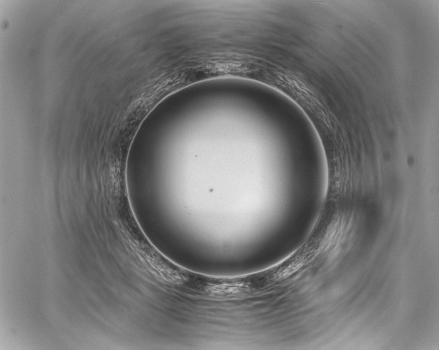 X0000059810461200510211121