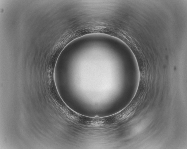 X0000059810462200510211121