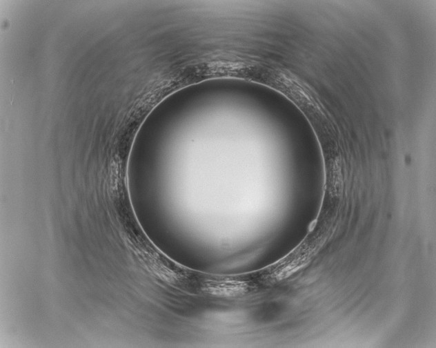 X0000059810463200510211121