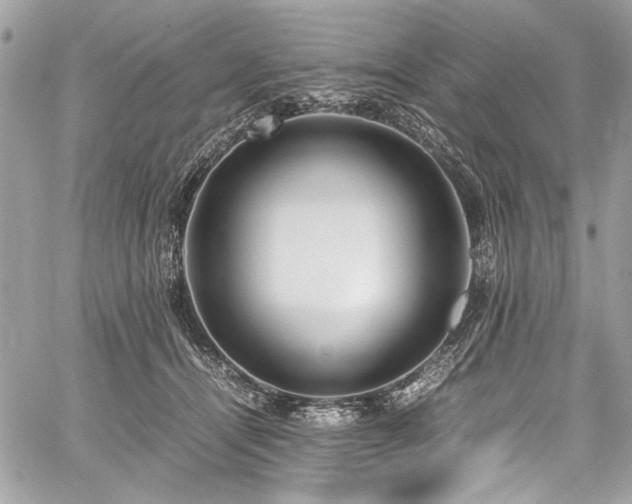 X0000059810464200510211121