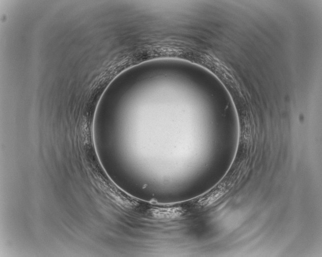 X0000059810465200510211121